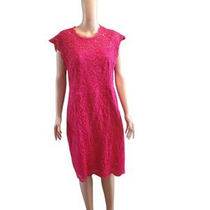 Miusol Size L Raspberry Pink Lace Zip up Sheath Dress TINY FLAW (marked 1X)